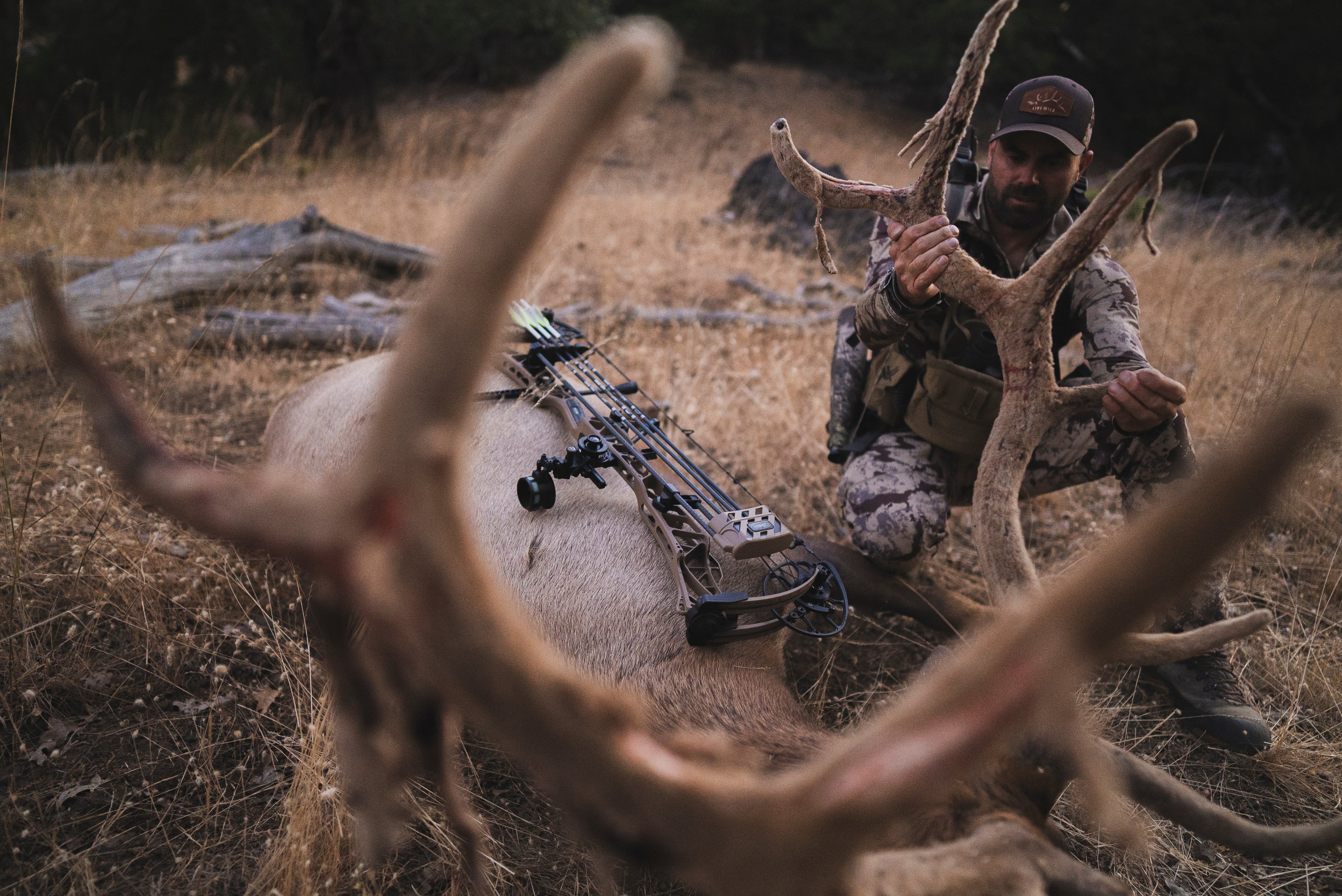 Six Tips for Bowhunting Success