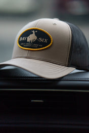 Day Six Buckin' Buffalo Hat