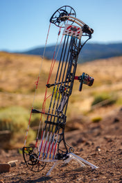 XR - America Arrow | Dozen