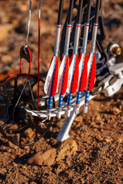 XR - America Arrow | Dozen