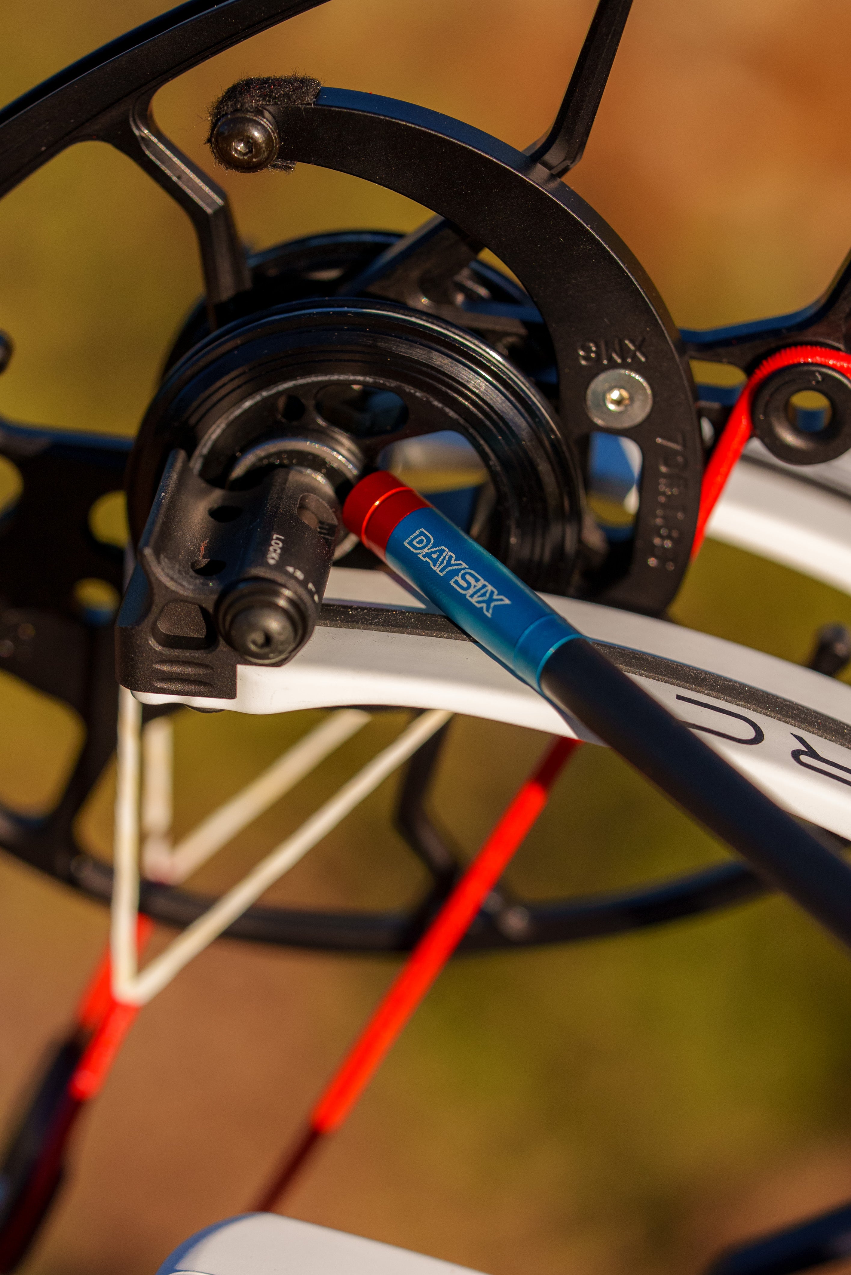 XR - America Arrow | Dozen