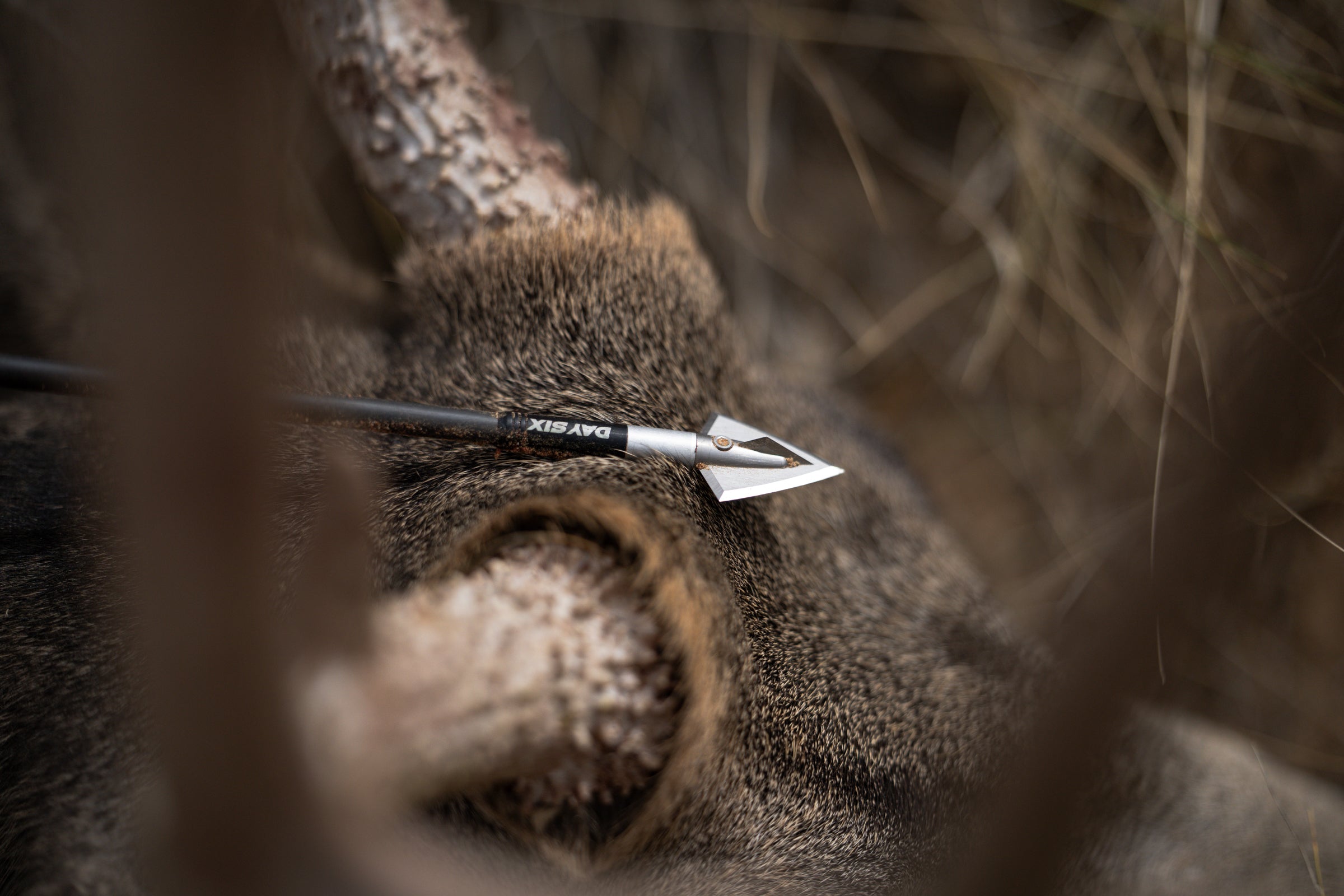 ChrisAuch_WY_YETI-57.jpg