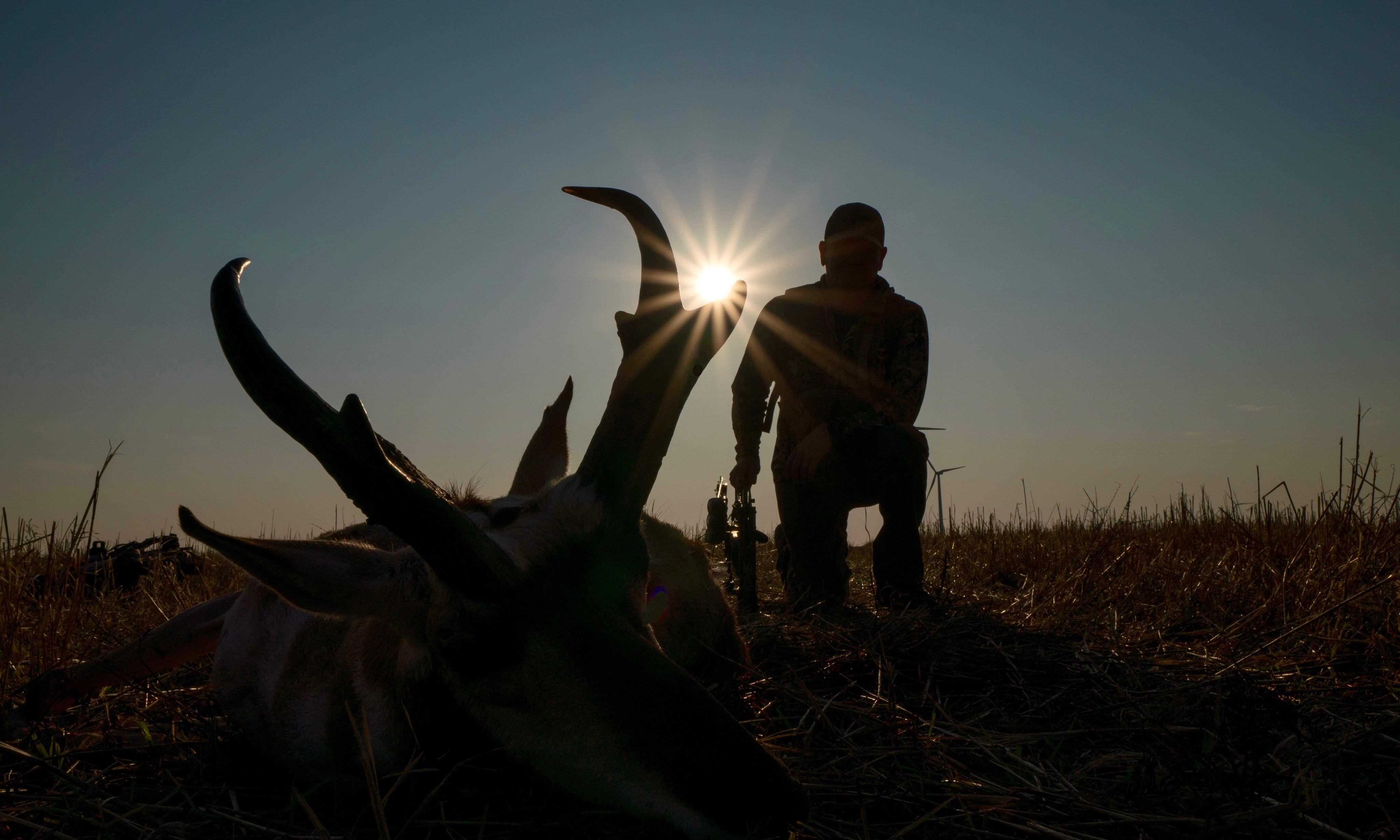 Broadheads Day Six Broadheads day six