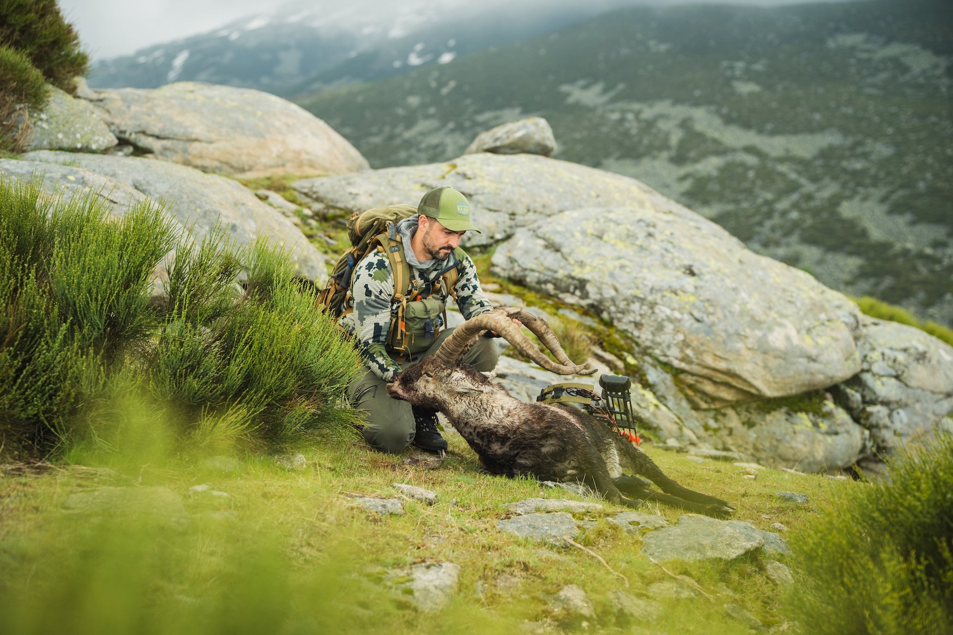 Spanish_Ibex_25-347.jpg