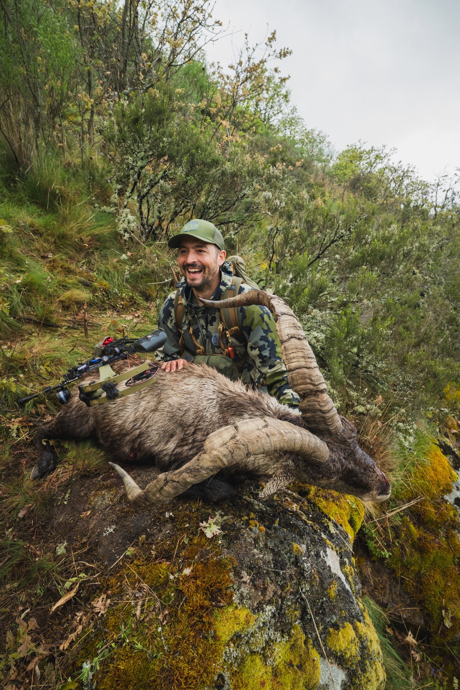 Spanish_Ibex_25-411.jpg