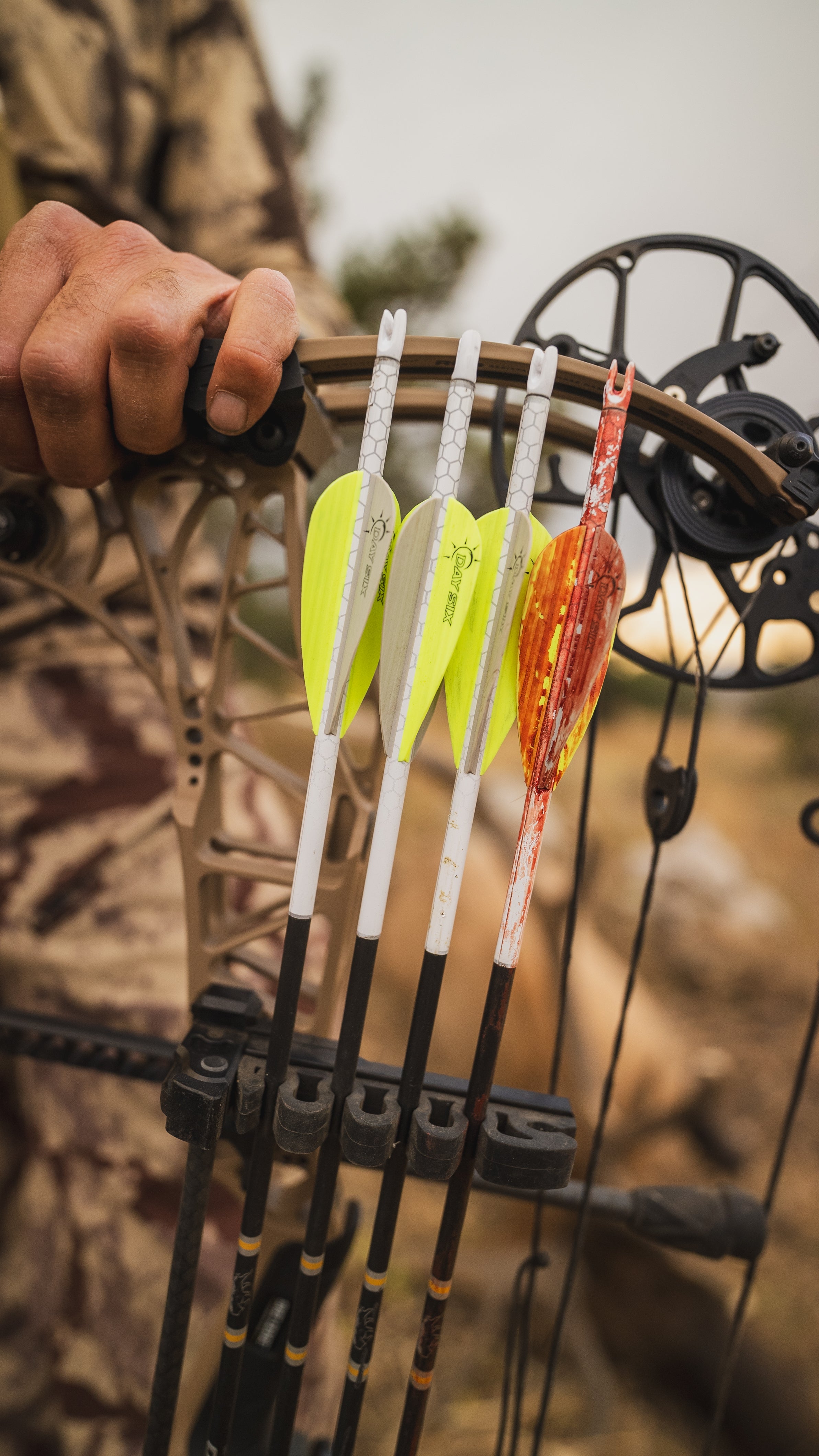 Wyoming_20Archery_20Elk-062.jpg