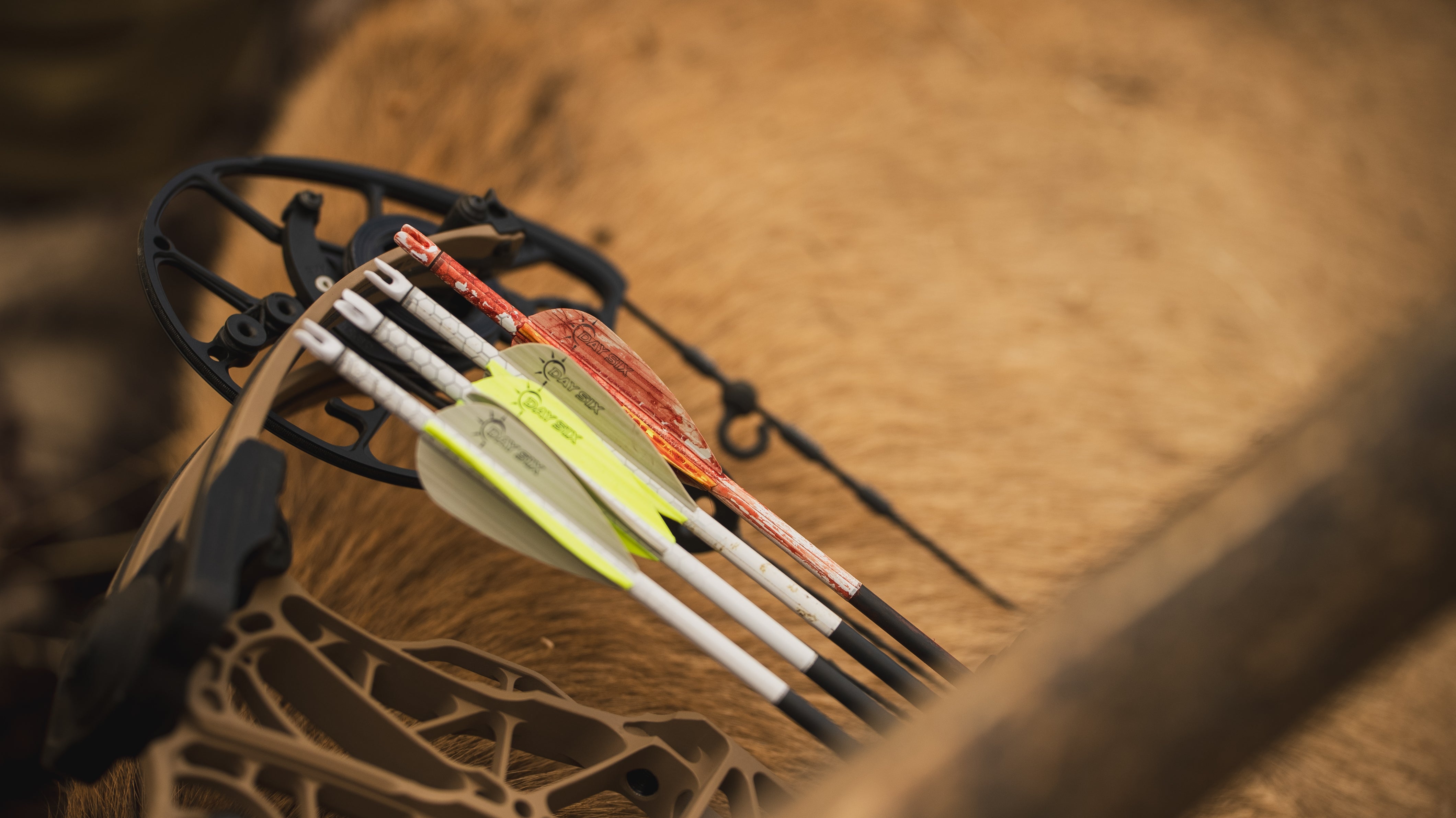 ARROWS 超美品 HD Fletched Arrows - 003 - Dozen – Day Six